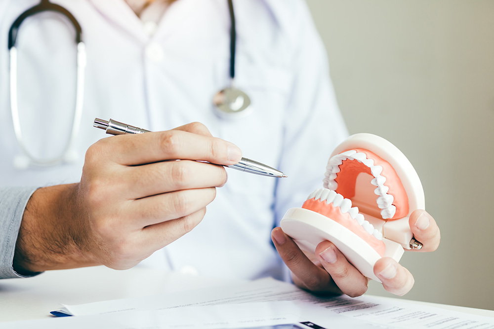 asian dentist holding pen pointing to the dentures VK582MM