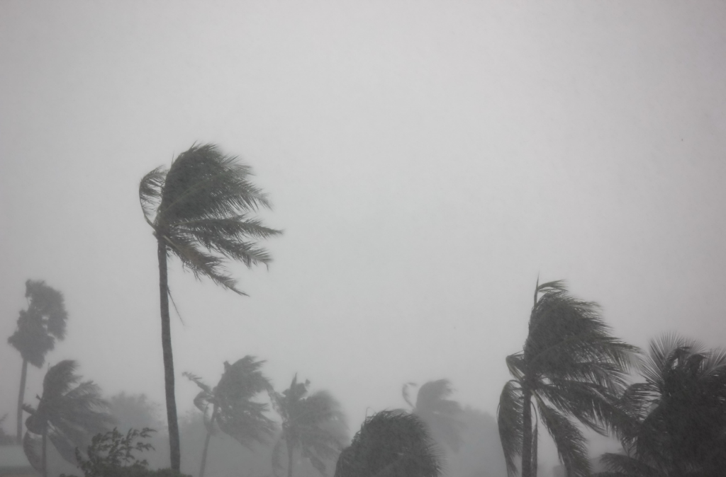 typhoon-08