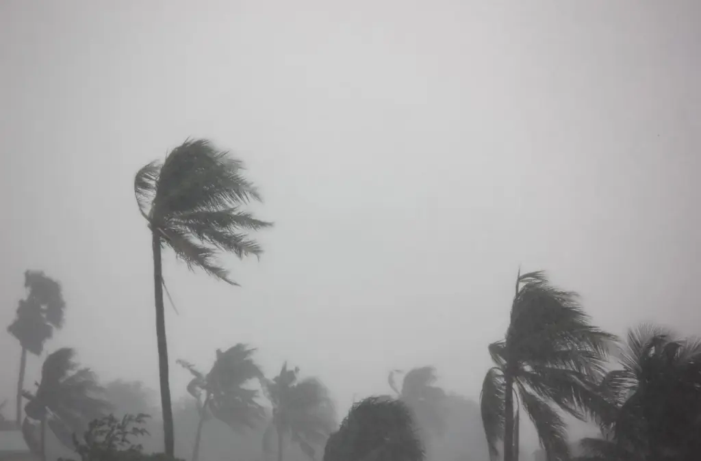 typhoon-08